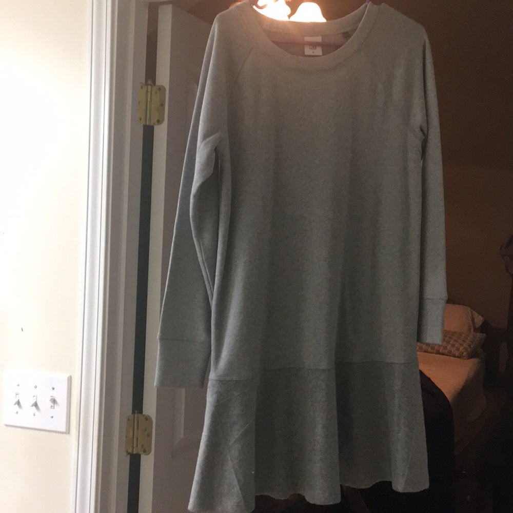 CAbi sweatshirt dress